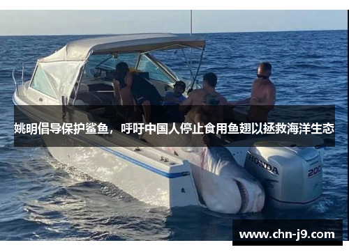 姚明倡导保护鲨鱼，呼吁中国人停止食用鱼翅以拯救海洋生态